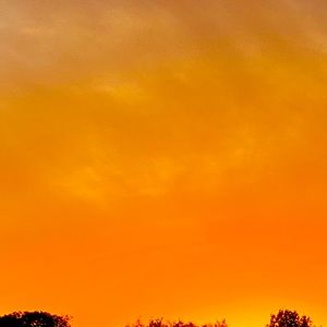 Meet your Posher, Anjali